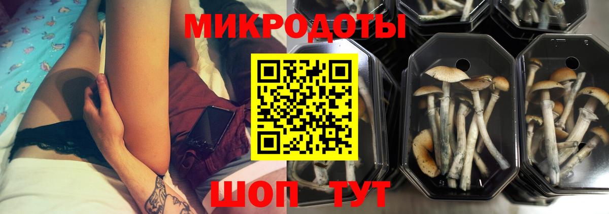 Лесозаводск  Псилоцибиновые грибы MAGIC MUSHROOMS  Псилоцибиновые грибы мицелий  Вход с VPN 